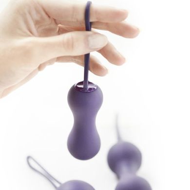 Набор вагинальных шариков Je Joue - Ami Purple, диаметр 3,8-3,3-2,7см, вес 54-71-100гр SO3042 фото
