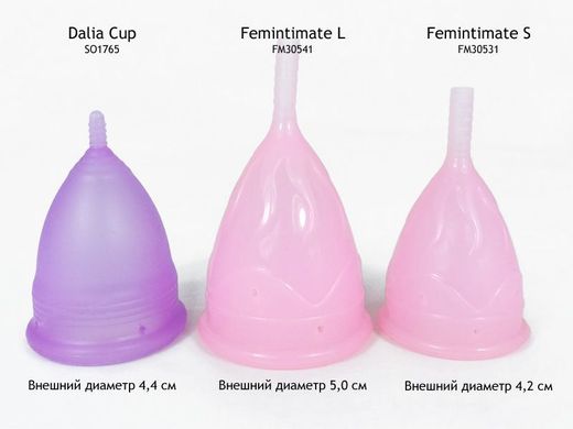 Менструальна чаша Femintimate Eve Cup розмір L з переносним душем, діаметр 3,8 см FM541 фото