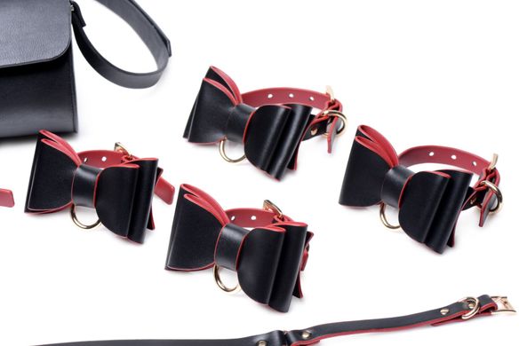 Набір для BDSM Master Series Bow - Luxury BDSM Set With Travel Bag SO8796 фото