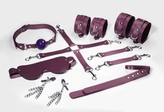 Набір Feral Feelings BDSM Kit 7 Burgundy, наручники, поножі, конектор, маска, падл, кляп, затискачі SO8278 фото