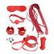 Набор MAI BDSM STARTER KIT Nº 75 Red: плеть, кляп, наручники, маска, ошейник, веревка, зажимы SO5004 фото 1