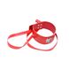 Набор MAI BDSM STARTER KIT Nº 75 Red: плеть, кляп, наручники, маска, ошейник, веревка, зажимы SO5004 фото 3