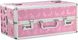Великий кейс для зберігання секс-іграшок BMS Factory Large Lokable Vibrator Case Pink, кодовий замок SO8900 фото 2