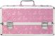 Кейс для хранения секс-игрушек BMS Factory - Large Lokable Vibrator Case Pink SO8900 фото 3