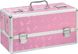 Кейс для хранения секс-игрушек BMS Factory - Large Lokable Vibrator Case Pink SO8900 фото 1
