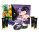 Подарунковий набір Shunga Geishas Secrets – Exotic Fruits для розкішної ночі вдвох SO7823 фото 10